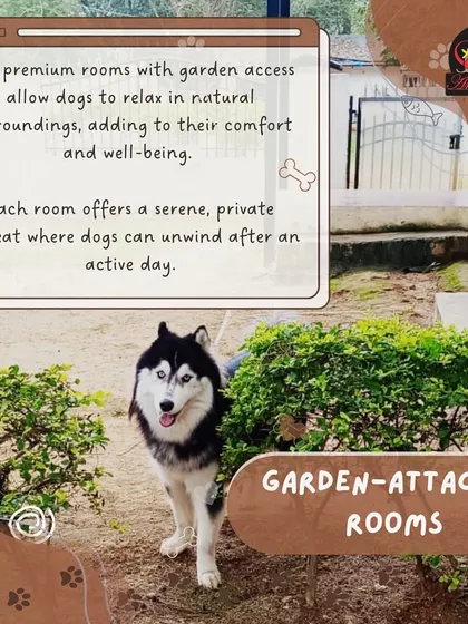 After an active day, there's nothing better than a private retreat. Our garden-attached rooms allow dogs to unwind in a serene, natural setting, ensuring they are comfortable and well-rested.