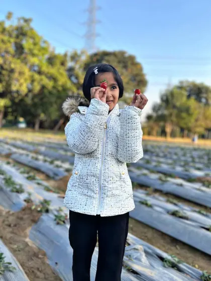 A young girl proudly shows off the two juicy strawberries she has just picked. The fields are full of these red gems, waiting to be discovered.