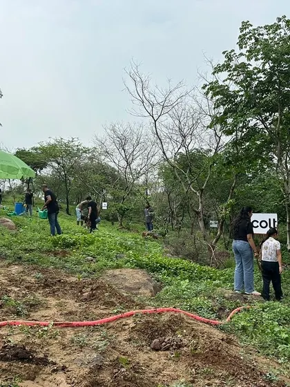 A wide shot of the Colt Technology Services plantation drive at Aravali Nagar Van, with 120 employees spread across the landscape planting saplings.