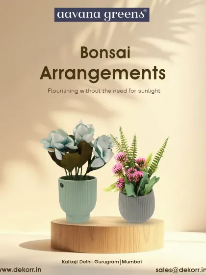 Flourishing without the need for sunlight. Our small bonsai arrangements are perfect for desks, shelves, or as thoughtful gifts, bringing a little piece of calm to any space.