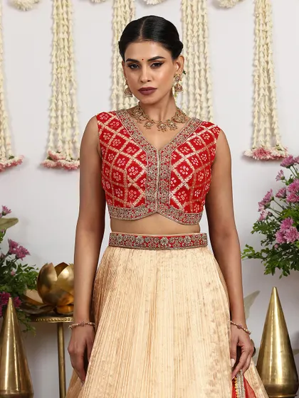 A close-up of the sleeveless red blouse, featuring a V-neck and intricate embroidery. It is a versatile piece that can be styled in multiple ways.
