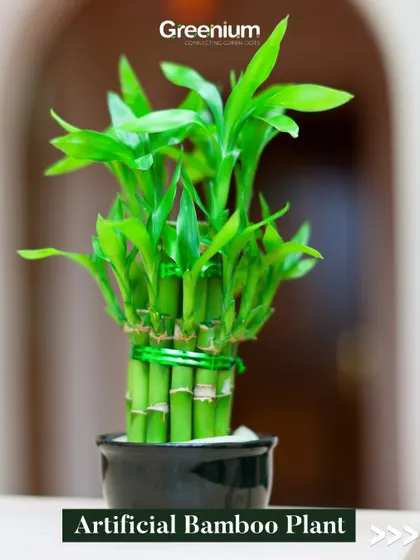 An artificial Bamboo Plant brings a sense of zen and tranquility to any space. This one is perfect for a desk, shelf, or small corner, offering an always-fresh look.