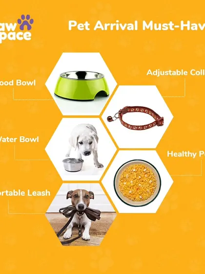 Bringing a new pet home is exciting. This checklist covers the absolute must-haves for their arrival, including a food bowl, water bowl, adjustable collar, comfortable leash, and of course, healthy pet food.