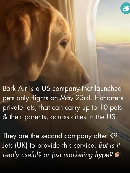 We keep our community informed about innovations in the pet world. This post introduces Bark Air, a new US-based airline for dogs, and poses the question: is it a genuinely useful service or just marketing hype?