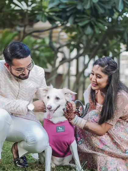 A heartwarming photo of a couple petting their happy dog, who is sitting between them. This image perfectly captures the love and bond they share with their furry family member.