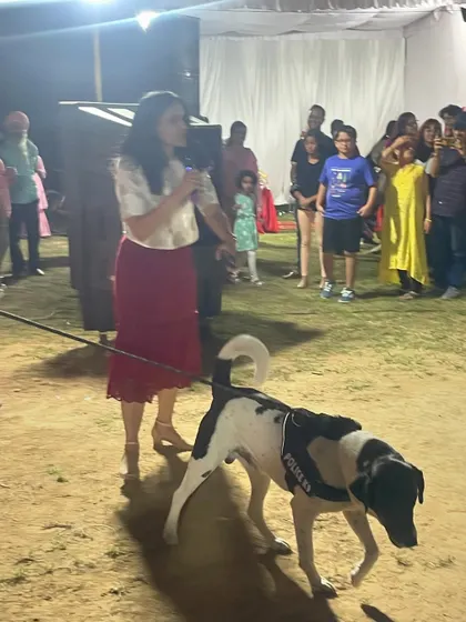An Indie dog proudly walks with its handler at the event. We are passionate about celebrating all breeds and believe every pet deserves a chance to shine.