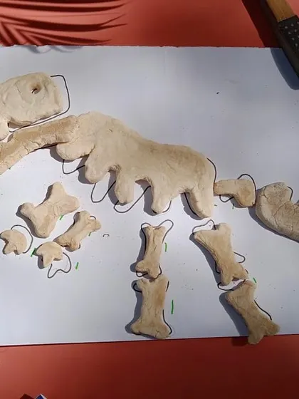 The excavated salt-dough fossils are assembled to form a dinosaur skeleton. This activity combines art, science, and measurement in a single, engaging project.