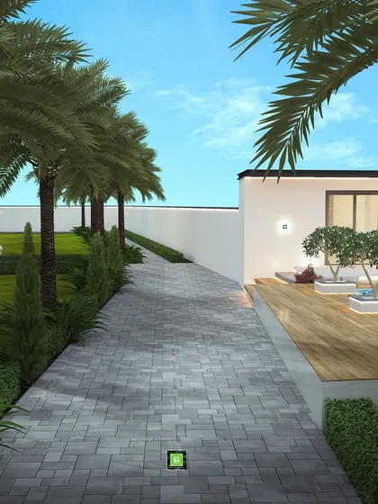 A long pathway lined with palm trees leading to the pool area, creating a grand and tropical entrance.