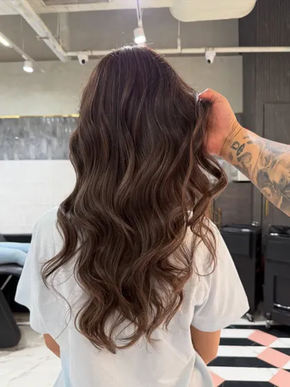 A still shot of the smoky brunette hair, showing the rich color and healthy shine from the back.
