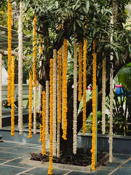 We used strings of marigolds and tuberoses hanging from trees to create a natural and beautiful decor element for this outdoor celebration.