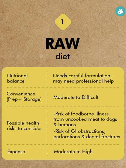 A raw diet is another option for pet parents. This chart outlines the pros and cons, highlighting the need for careful formulation and noting the risks of foodborne illness and dental fractures.