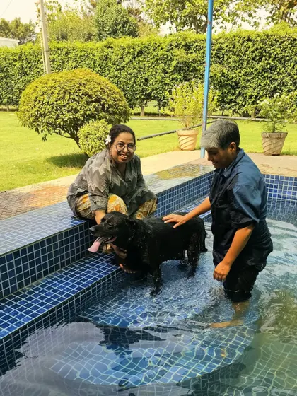 A lovely moment as a family helps their dog feel comfortable in the water. Our pool is great for first-time swimmers and seasoned pros alike.