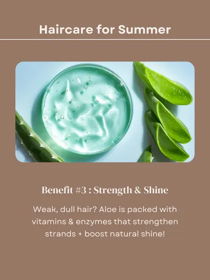 Benefit #3 of Aloe Vera: Strength & Shine. Aloe is packed with vitamins and enzymes that strengthen weak strands and boost your hair's natural shine.
