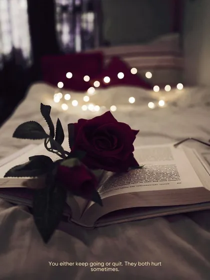 A classic romantic still life with a red rose on an open book, with fairy lights creating a soft bokeh in the background. This was shot with my very first camera, a Nikon D3400.