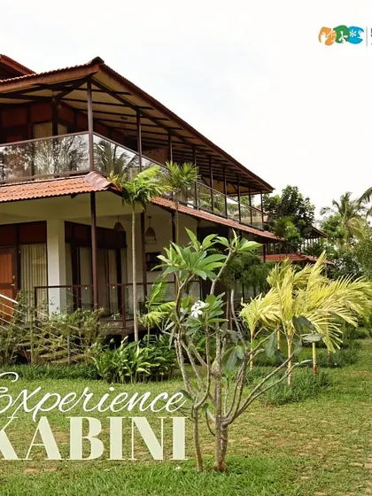 Experience Kabini from the comfort of our beautiful villas, surrounded by lush greenery and the serene river.
