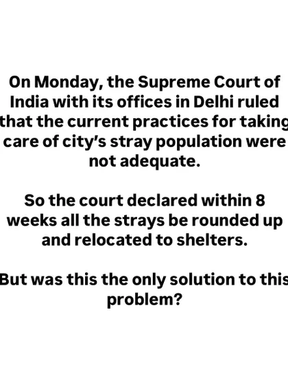 We break down the recent Supreme Court ruling regarding the relocation of stray dogs in Delhi, questioning if this was the only and best solution to the perceived problem.