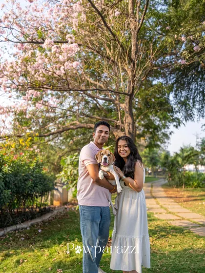 A beautiful portrait of June the Beagle and her family under a blooming tree. It's a stunning setting for a farewell photoshoot, creating a lasting memory of their time together in India.