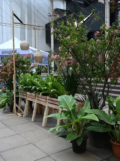 Another view of our festival setup, with lush greenery and flowering trees creating a welcoming and natural environment for all our guests.