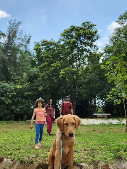 A few moments from a "Dog's Day Out" I hosted at a local farm. These group outings are a great way for dogs and their parents to socialize, have fun, and practice their training in a new, exciting environment.