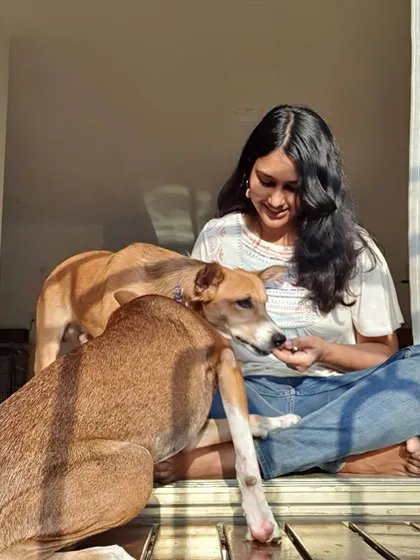 A sunny morning training session with two lovely Indie dogs. Using positive reinforcement and treats makes learning a fun game for them, and they are so eager to participate.