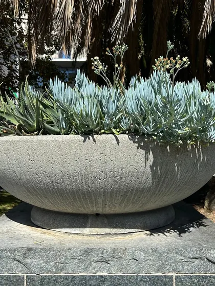 A large, modern concrete planter holding a variety of succulents. The choice of planter material is as important as the plant itself for both aesthetics and plant health.