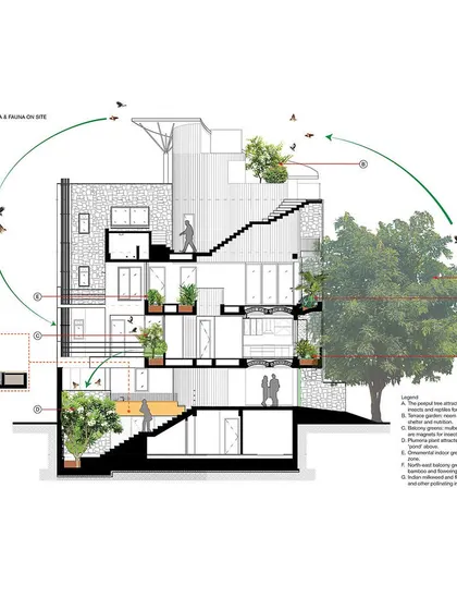 This detailed architectural section of the People Tree House was featured in FuturArc magazine. It illustrates the symbiotic relationship between the building and the local fauna, showing how features like the water body and native plants create a habitat for birds and insects.