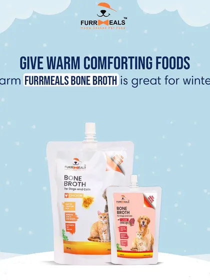 This image reinforces the tip to give warm, comforting foods in winter. My bone broth is an ideal choice to keep your pet cozy and healthy.