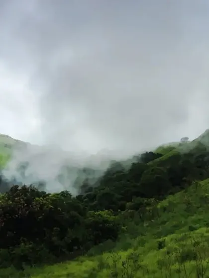 The misty hills of Mudigere, with clouds drifting through the green valleys. This photo captures the magical, atmospheric weather of the Malnad region.