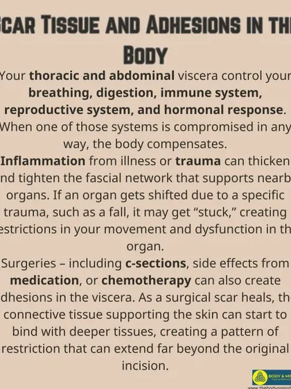 Surgeries, inflammation, or trauma can create scar tissue and adhesions in the body, restricting movement. Visceral manipulation can help release these.
