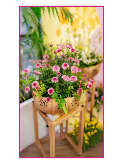 Fresh flowers in wooden planters added a rustic and charming touch to the overall Mehendi decor.