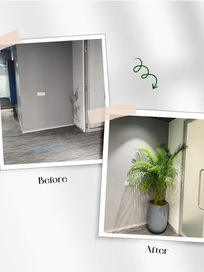 Even a small, awkward corner can be improved. Before, it was an empty grey space. After, a single, elegant areca palm in a modern pot adds life and a touch of sophistication.