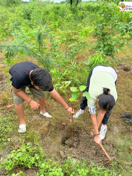 Two young volunteers work together to dig a pit and plant a tree. These collaborative activities teach valuable lessons about teamwork, responsibility, and caring for the environment.