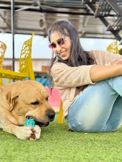 A candid moment between a pet parent and her Labrador, sharing a playful interaction on our lawn.