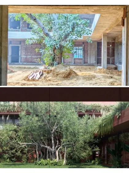 Before and after at the Khwabgah project in Delhi. A central courtyard, once a dusty construction area with a lone tree, is transformed into a lush garden, the green heart of the home.