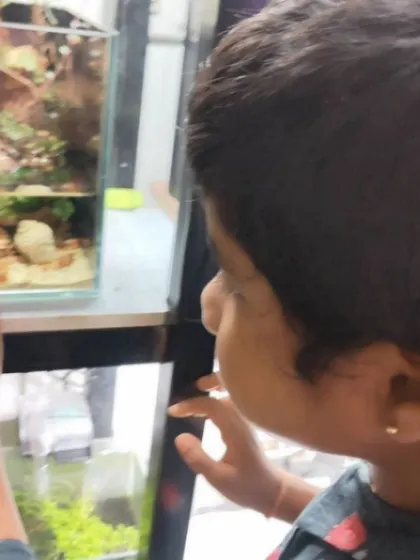 A gallery from our day at the aquarium. The children's faces light up with wonder as they observe the magic of underwater life, from colorful fish to starfish.