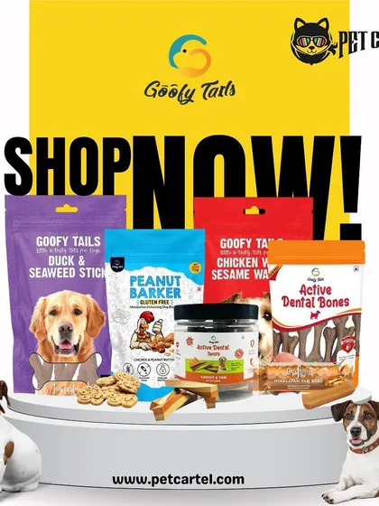 This image showcases a variety of treats and dental bones from Goofy Tails, all part of our special promotional offers. It's a great time to shop for your pet's favorites.