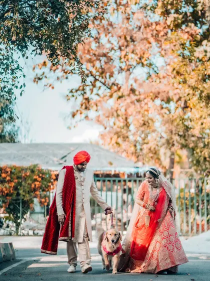 A beautiful, wide shot of a Sikh couple walking with their dog, set against a backdrop of autumn-colored trees.