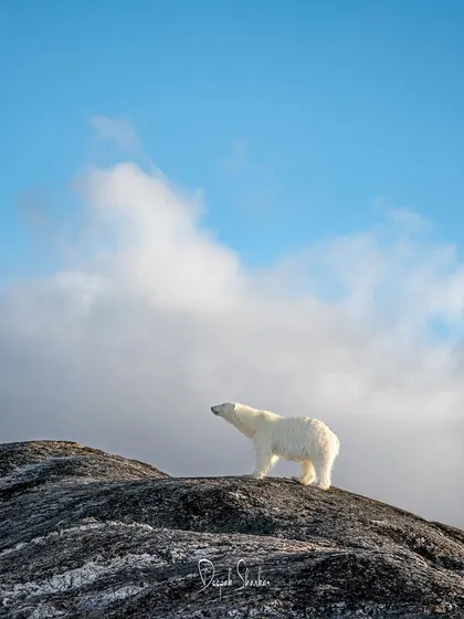 A moment of perfect composition and natural beauty from the top of the world.
