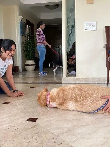 A huge part of dog training is learning to play and build a positive relationship. Here's a fun moment from my training course, reminding me that joy and laughter are essential ingredients in any successful training plan.