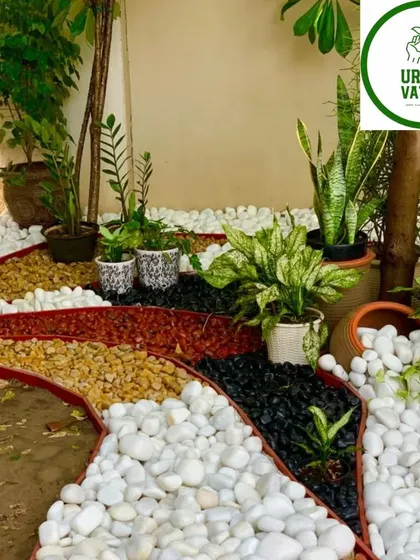 A beautiful ground-level garden design using colourful pebbles to create pathways between different plant sections, adding texture and visual interest.