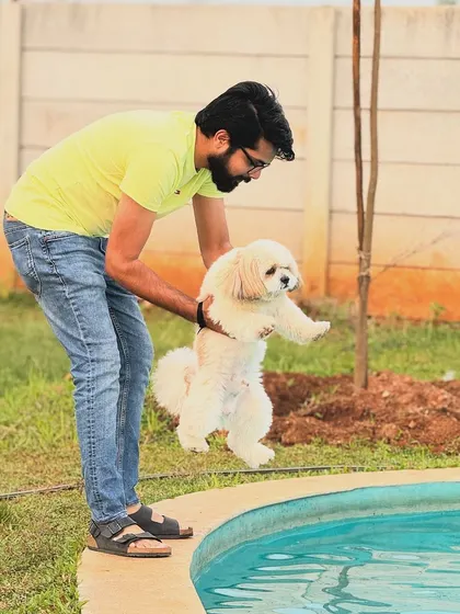 Getting ready for a swim! This gentle lift is a great way to introduce a small dog to the fun of our pet-friendly pool.