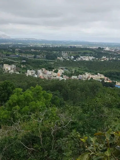 A duplicate of the beautiful landscape view from one of our rides.