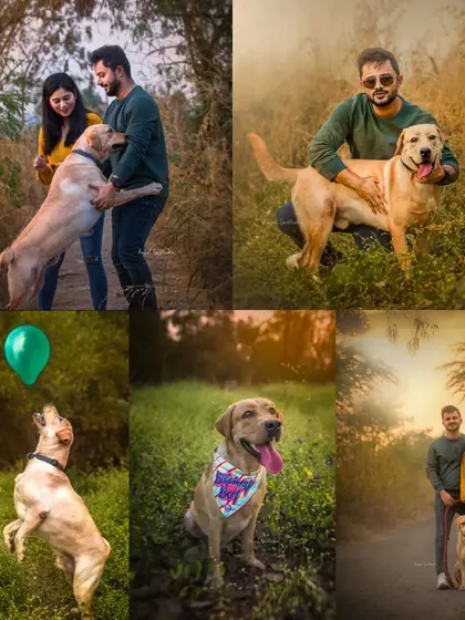 A collage celebrating a dog's first birthday with an outdoor photoshoot. The images capture the dog's playful personality and the loving bond it shares with its owners.