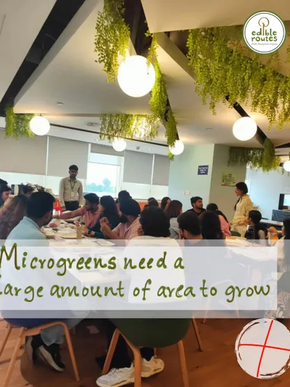 Myth: Microgreens need a large area to grow. Fact: You can grow a significant amount in a very small space, making them perfect for urban homes.