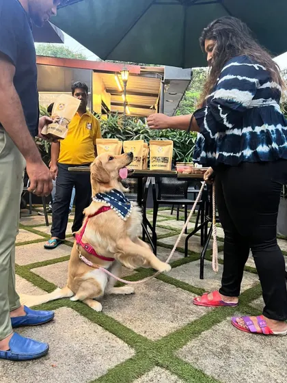 High five for a successful event! This well-behaved golden retriever knows how to work the crowd for a tasty treat.