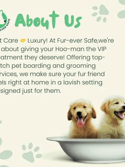 Let the rulers of your heart feel like true kings and queens. We are all about giving your pet the VIP treatment they deserve.