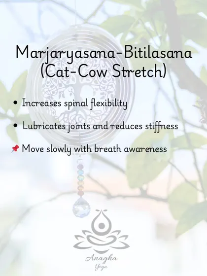Marjaryasana-Bitilasana (Cat-Cow Stretch) is a gentle movement I use to increase spinal flexibility, lubricate joints, and reduce stiffness.