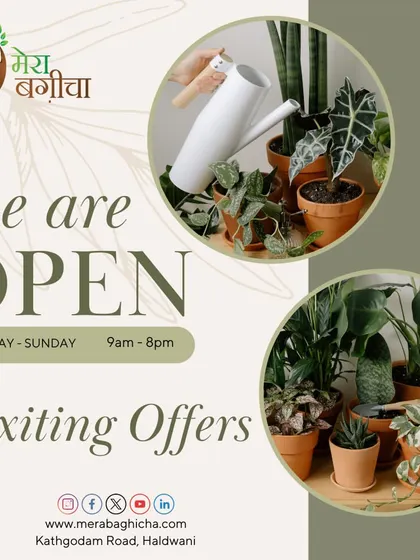 We are open seven days a week, from 9am to 8pm, with many exciting offers waiting for you. Come visit our store on Kathgodam Road in Haldwani.