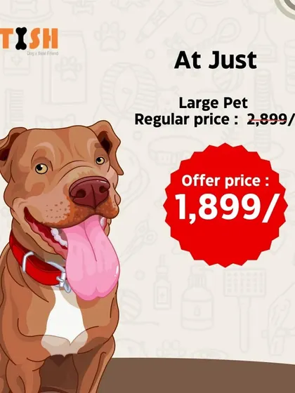 My offer for large pets is just ₹1,899, down from the regular price of ₹2,899. It's the perfect time to book for your big furry friend.