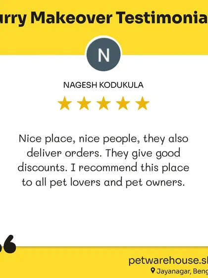 Nagesh Kodukula recommends our Jayanagar store to all pet lovers, highlighting our nice people, good discounts, and delivery service.